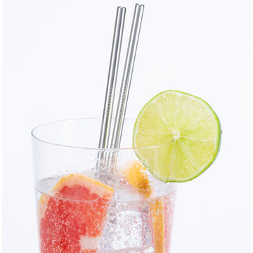 Stainless Steel Straws S/10